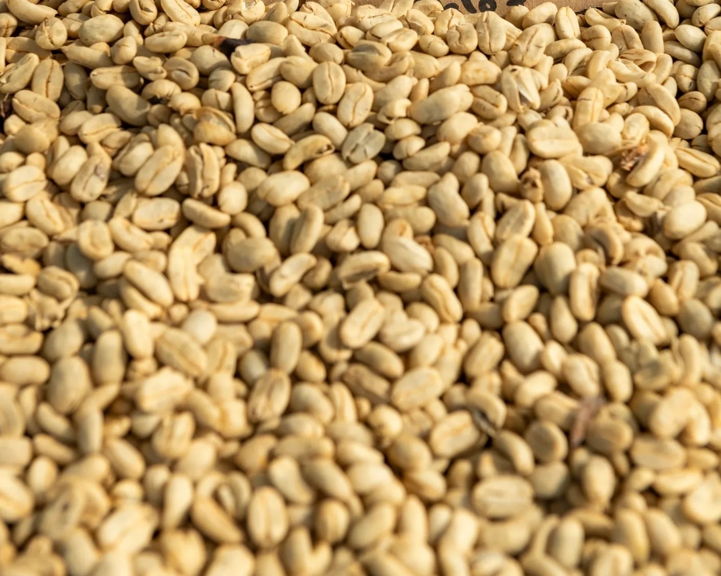 Coffee commodity category